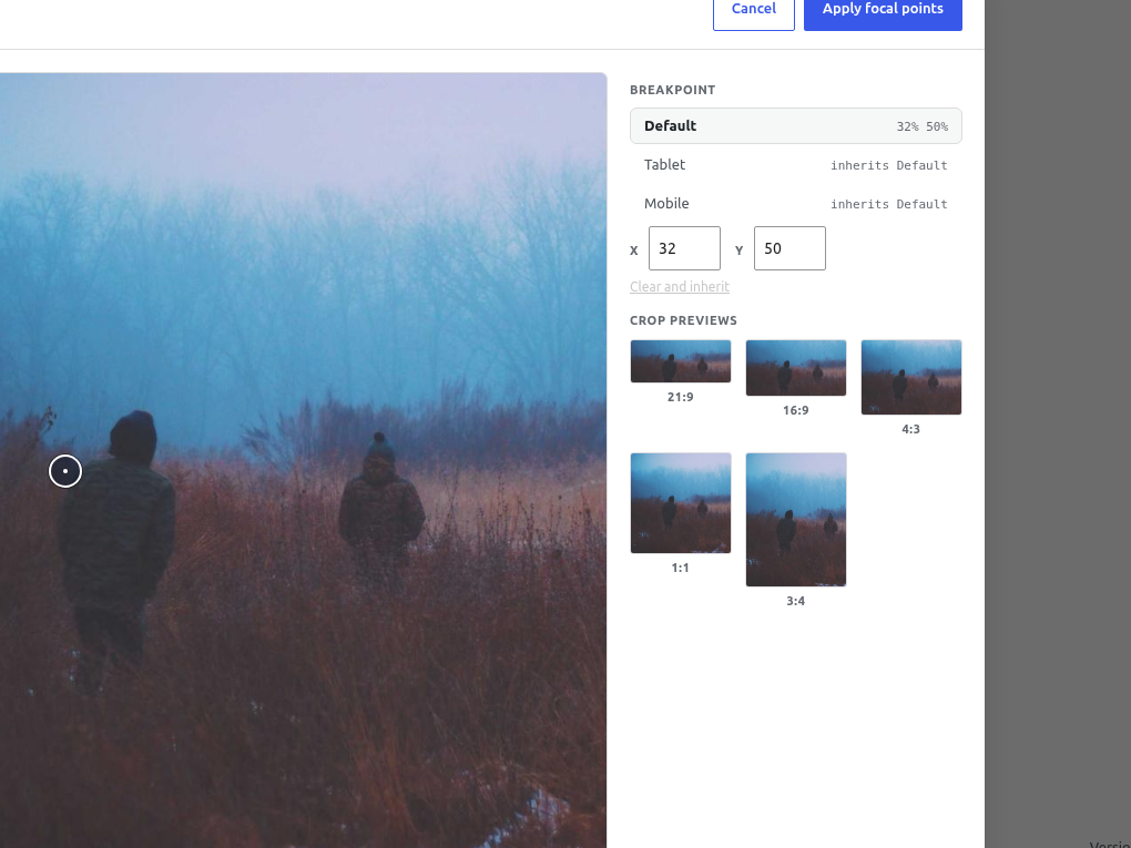 Setting the point in the Media Library, with live previews of the crop at five aspect ratios.