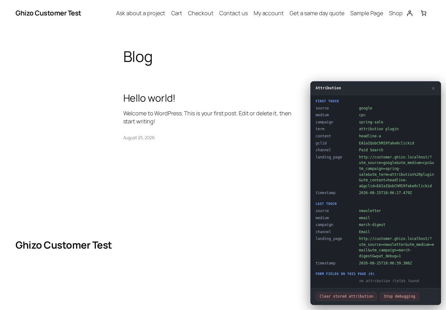 And before any form is involved: the debug panel, showing what this browser is holding and how the plugin classified it.